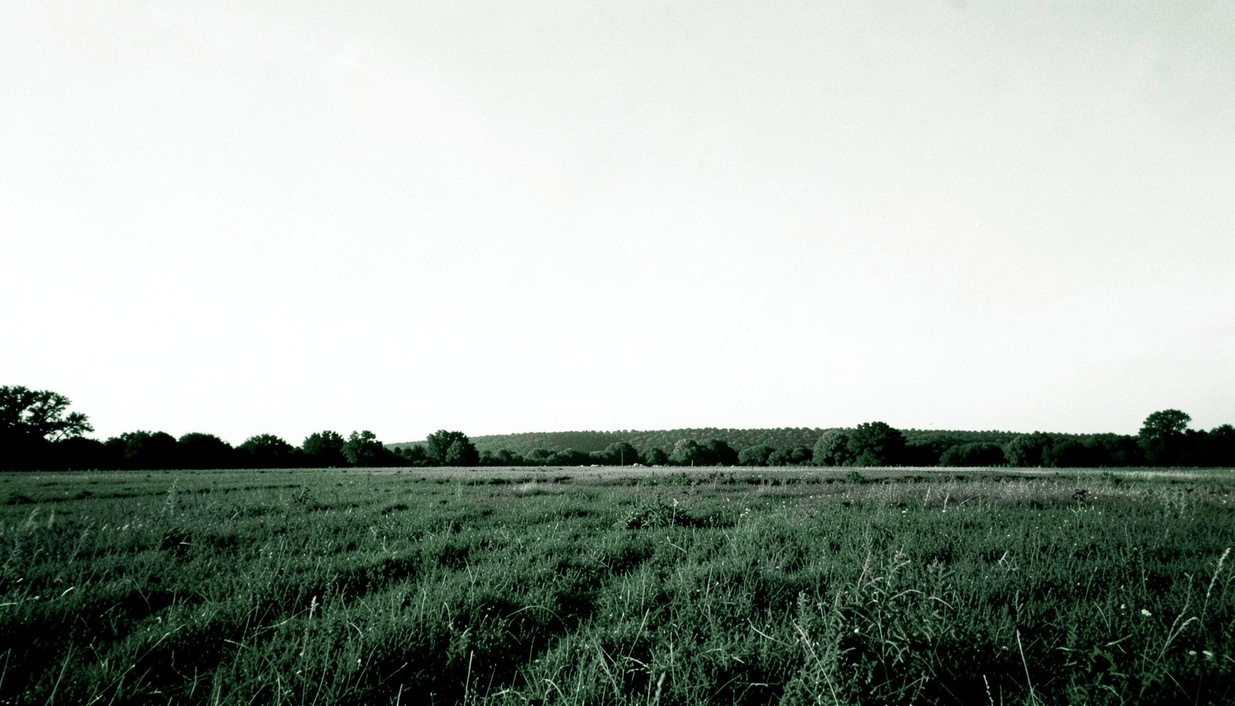 Fotografia in duotone bianco e nero di un paesaggio rurale con campi aperti e un cielo ampio e luminoso